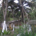 Baia Verde, nagykunyhók a pálmafák között